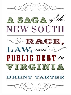 cover image of A Saga of the New South